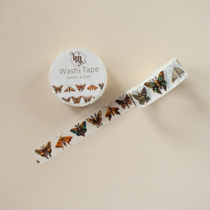 Brown Moth